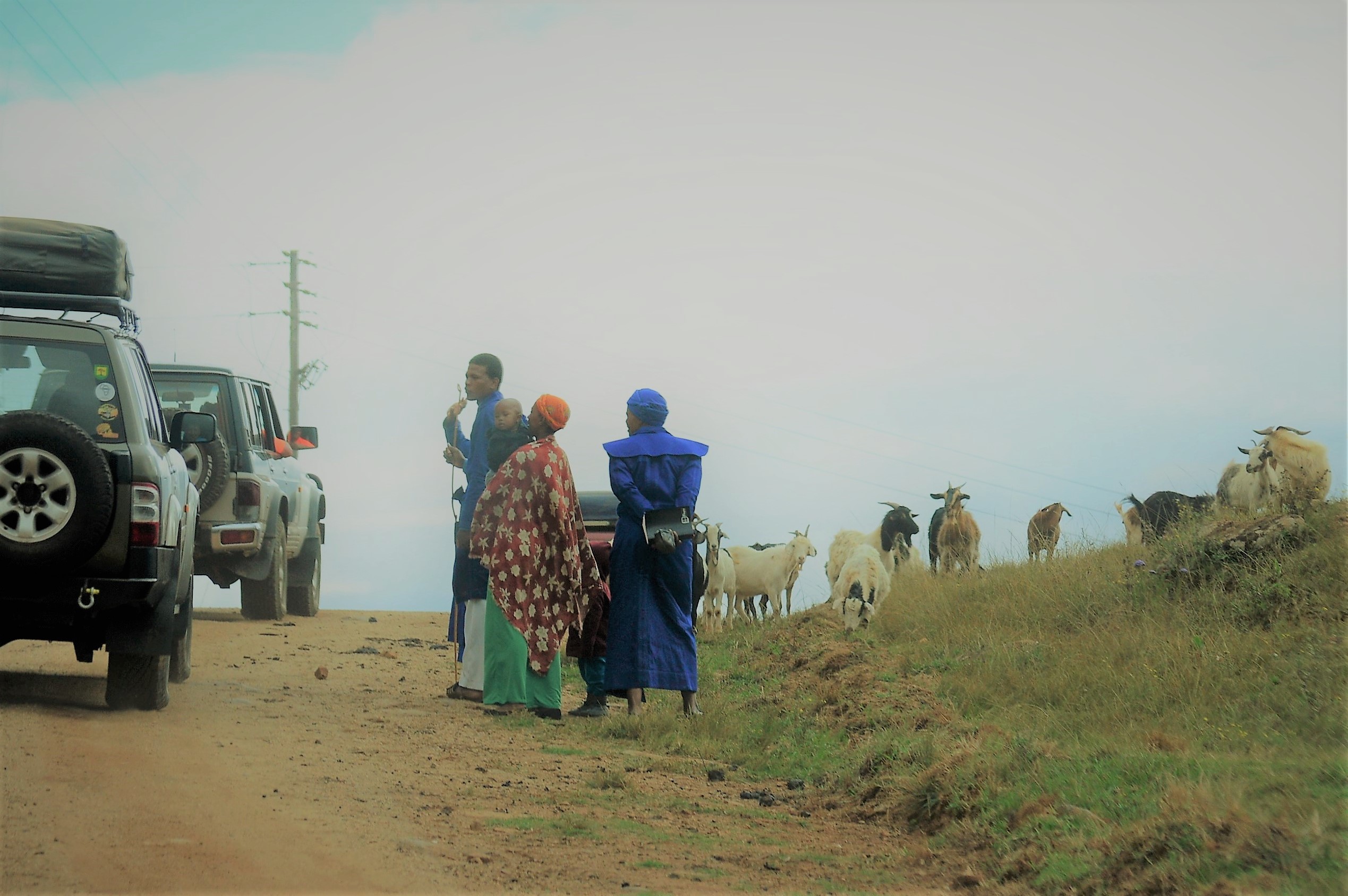 Patrol's, Swazi's en diere