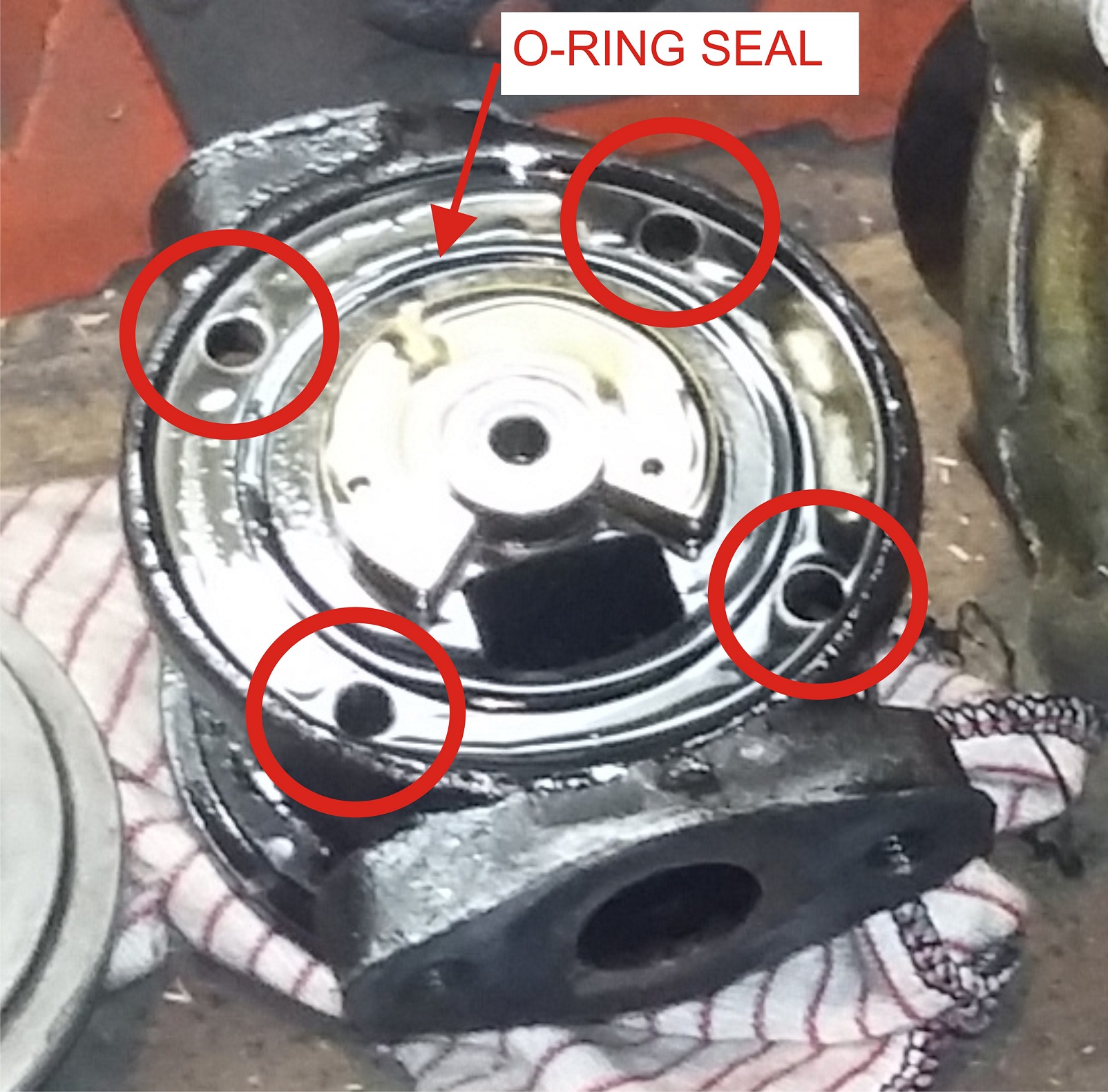 Graphic1.JPG