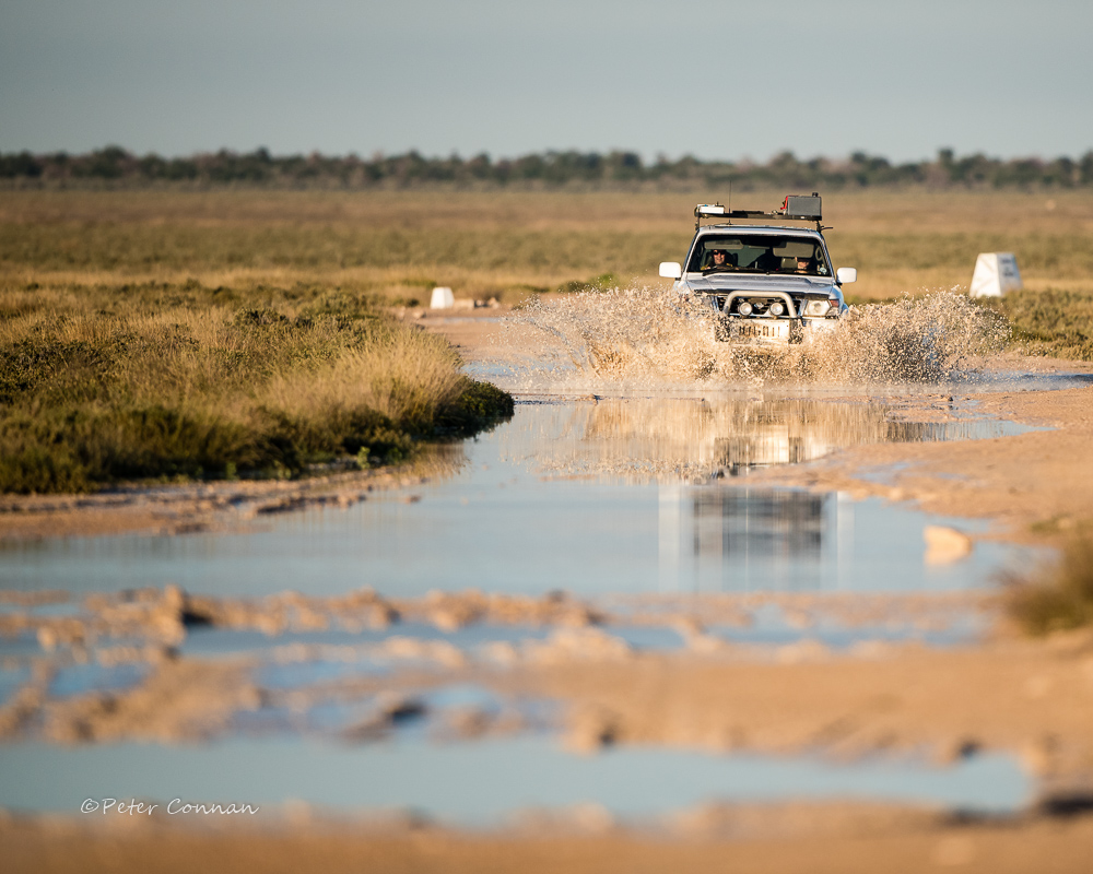 White Patrol, white mud.
