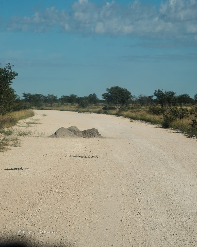 The road less travelled