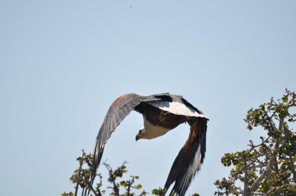 DSC_6571.jpg