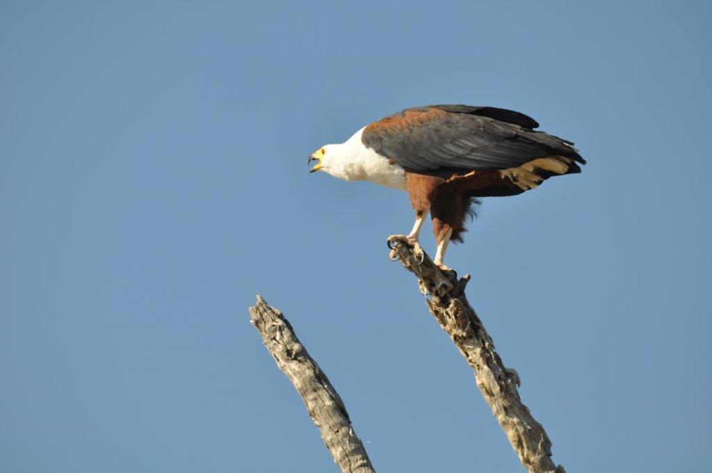 DSC_6726.jpg
