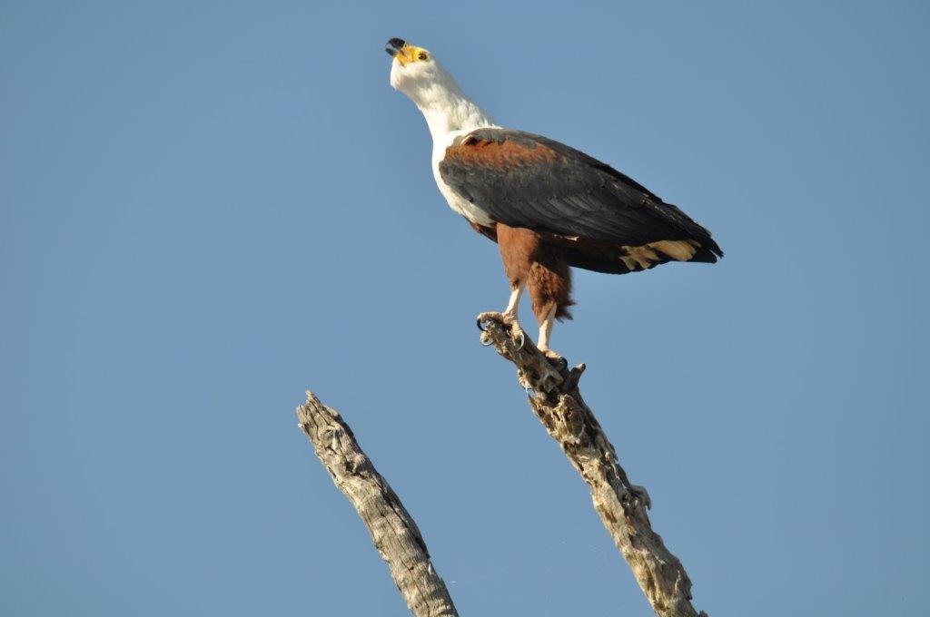 DSC_6728.jpg