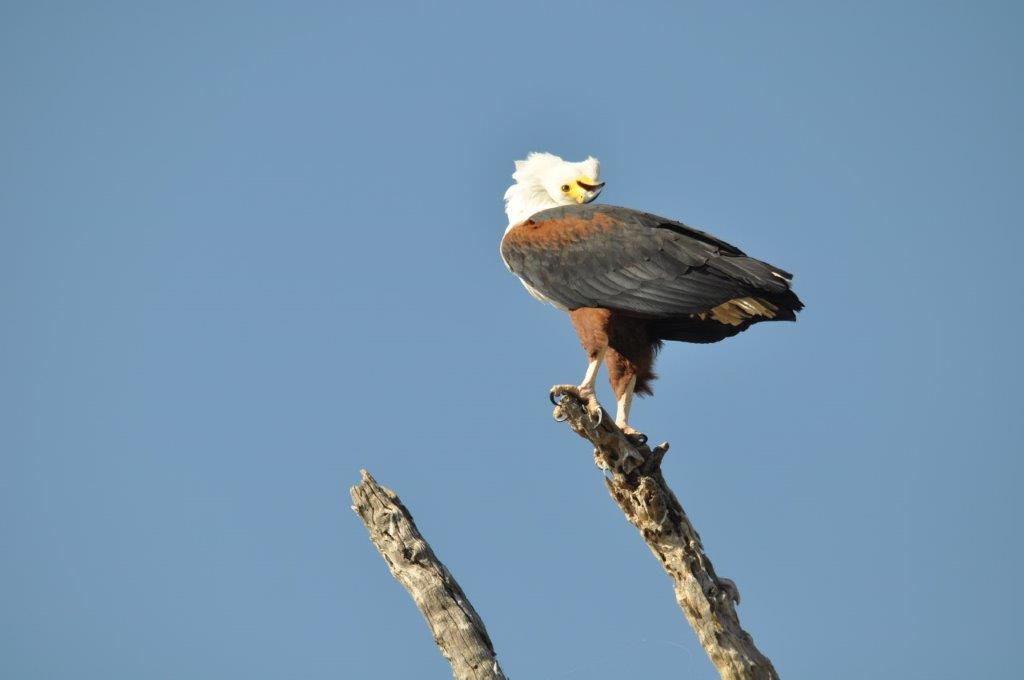 DSC_6730.jpg