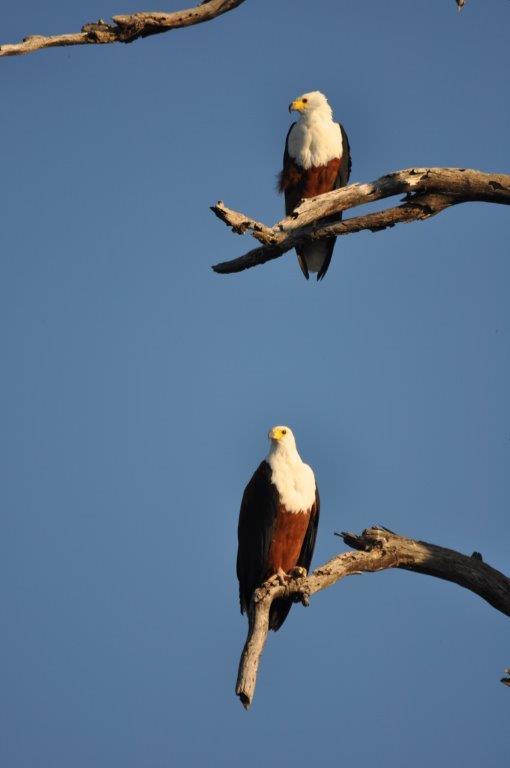 DSC_6425.jpg