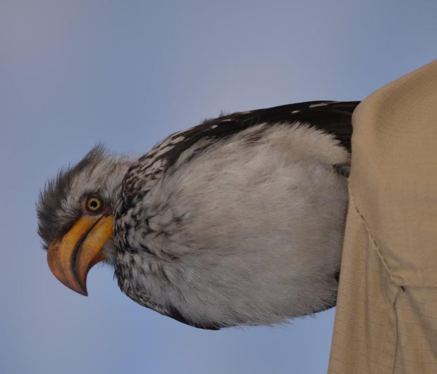 DSC_8225.jpg