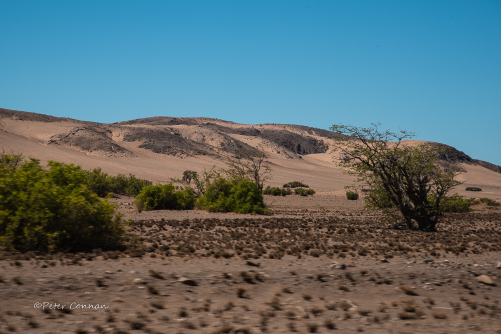 First dune
