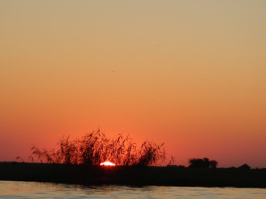DSCN1249.jpg