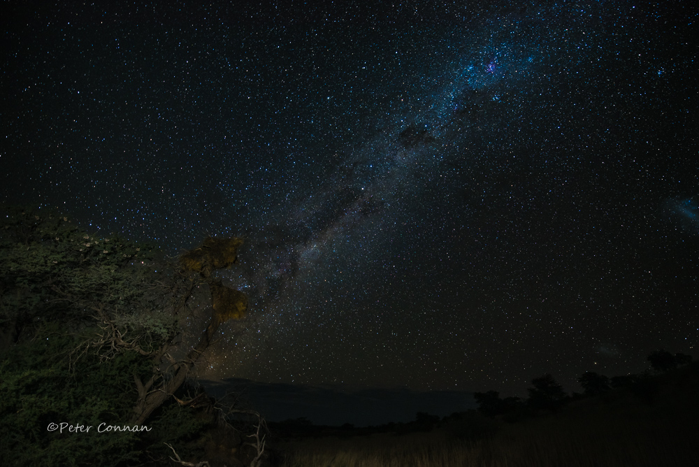 Peaceful under the stars