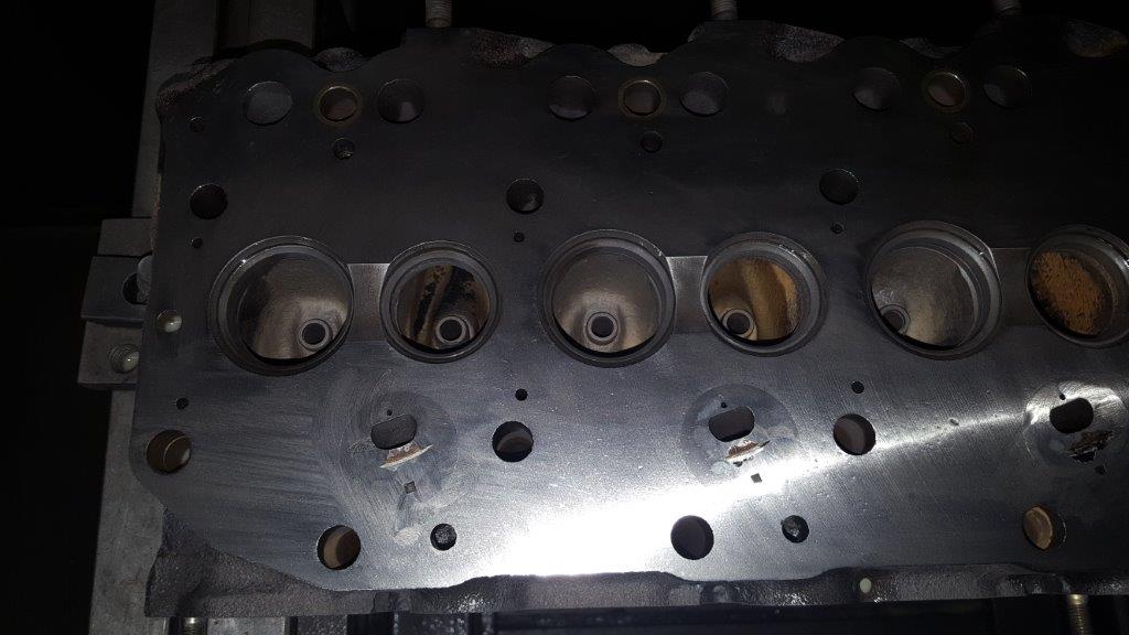 20170721_110524.jpg