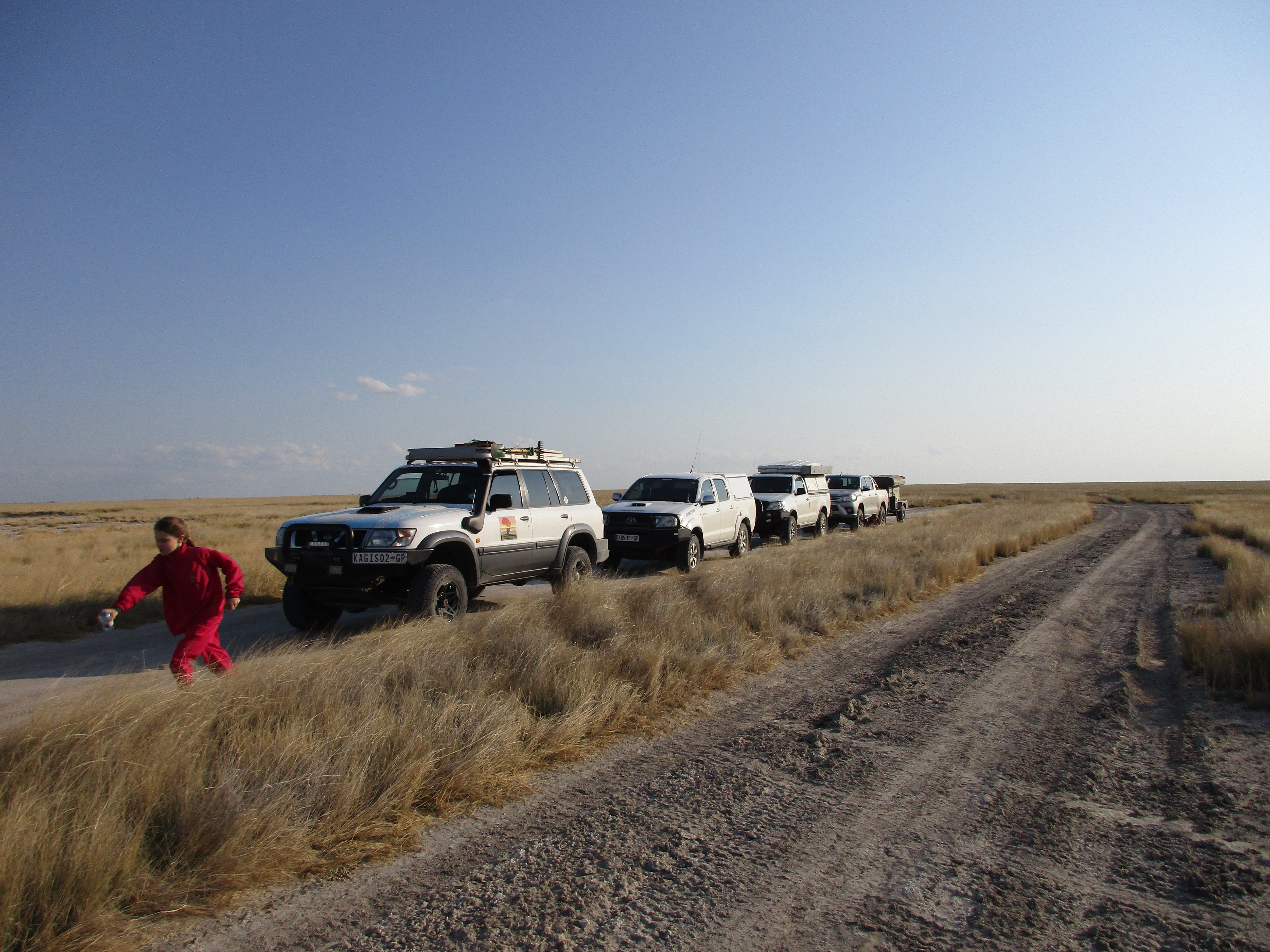 iNyathi &quot;Leading the Pack&quot;  follow the Girl in Red [Soa Pan; Botswana]