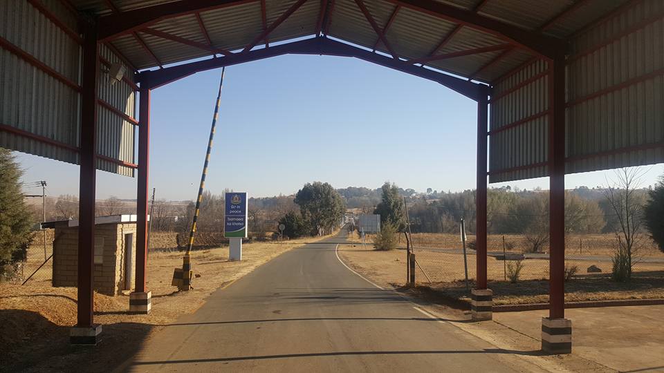 peka-2.jpg