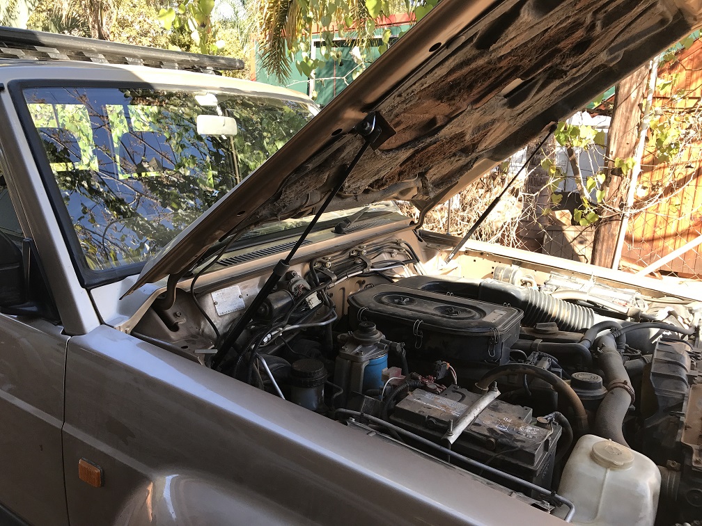 Gas Struts
