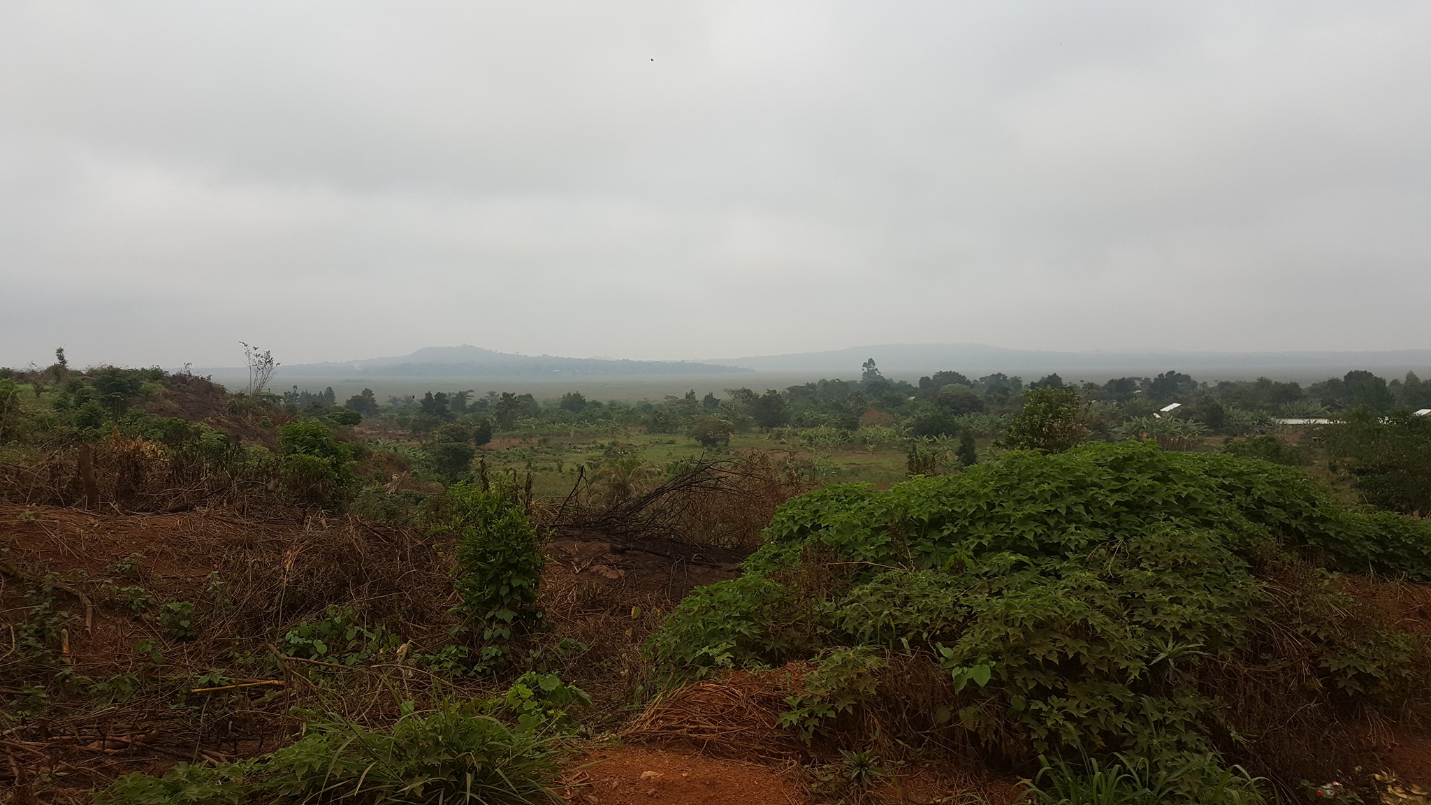 View over Lake Victoria on the way to Mbamba
