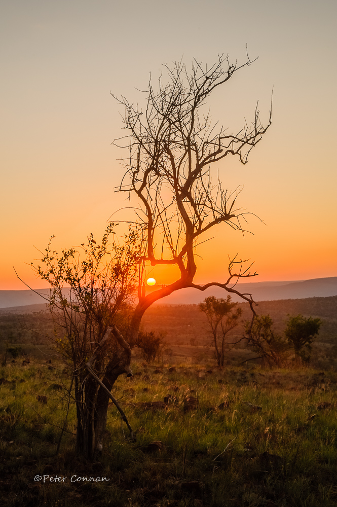 Sunrise1ODP.jpg