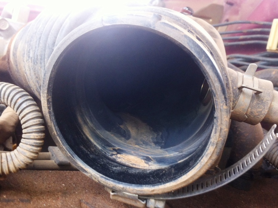 photo 1.JPG
