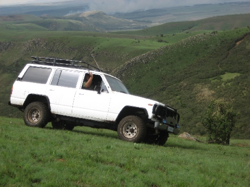 lobo 3Prov4.jpg