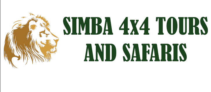 Simba Logo & Name.gif.gif