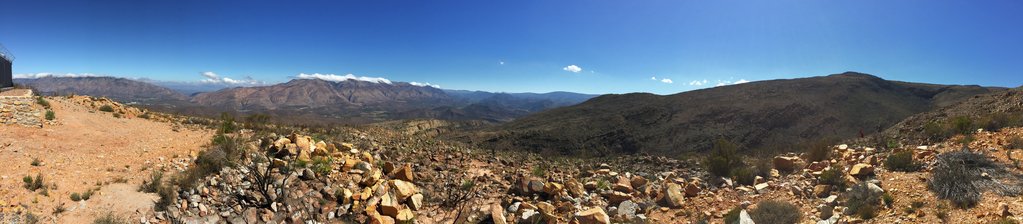 IMG_3004.jpg
