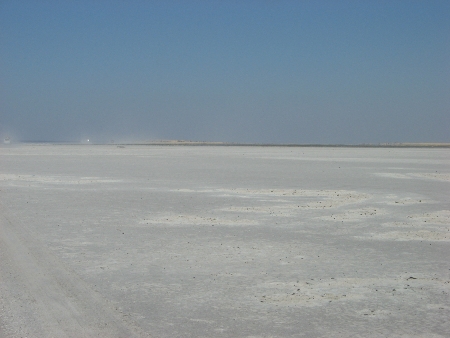 Kubu 2008iii.jpg