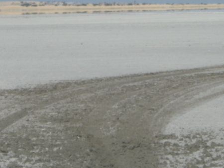 Kubu 2008iv.jpg