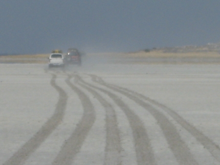 Kubu 2008v.jpg