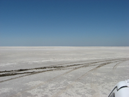 Kubu 2008viii.jpg