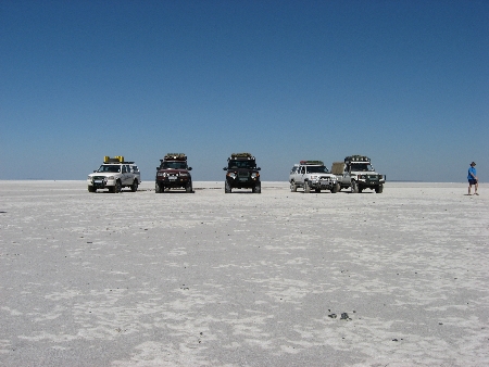 Kubu 2008vii.jpg