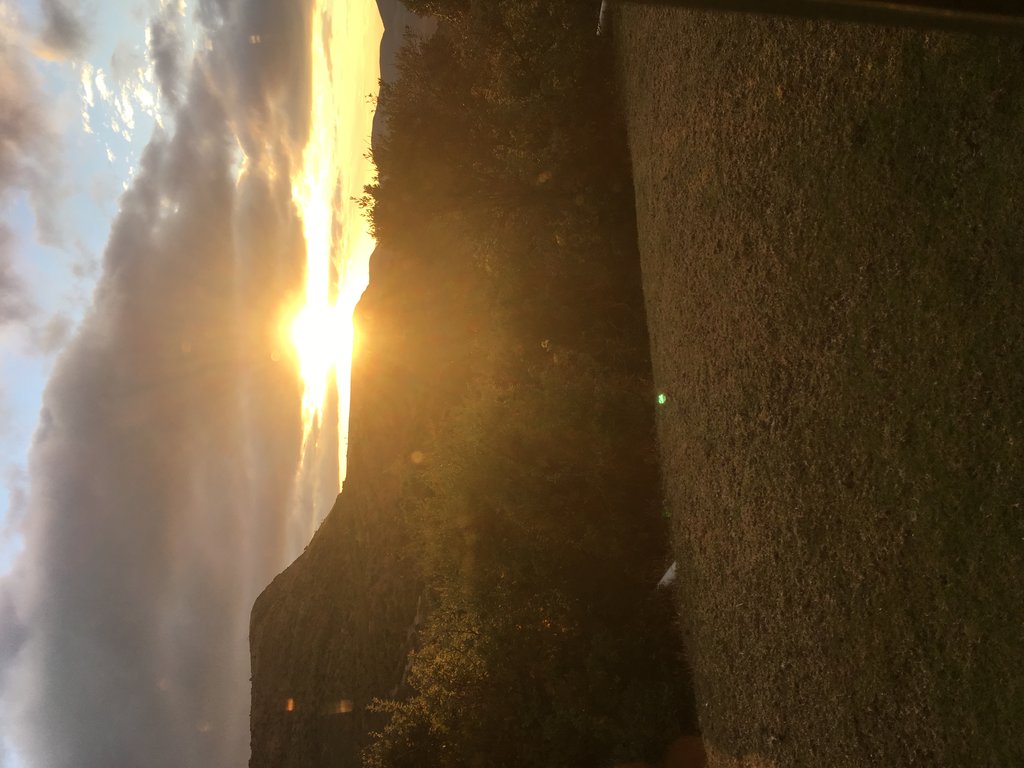 1E34C312-09D9-42AB-8532-DC09D61B07C1.jpeg