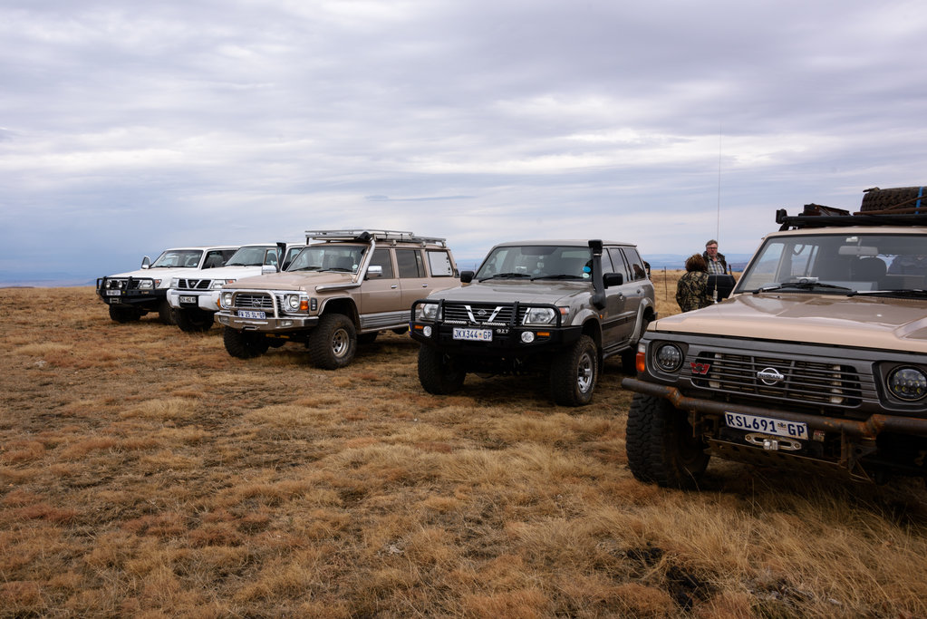 Lined Up
