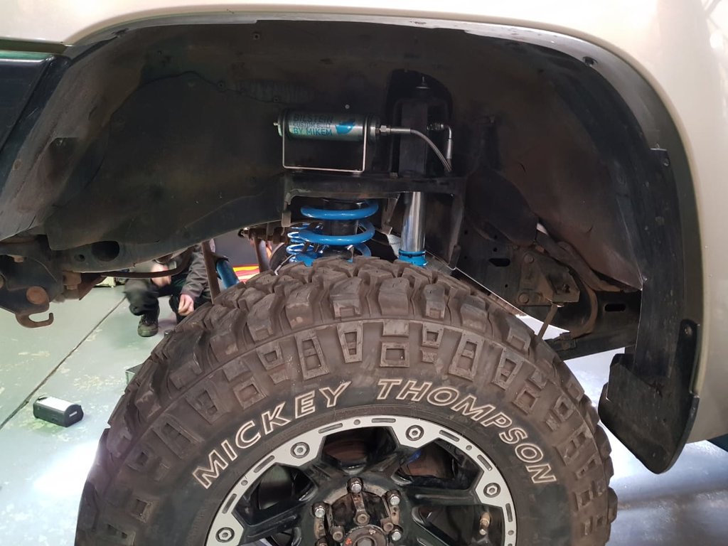 Front full articulation.jpeg