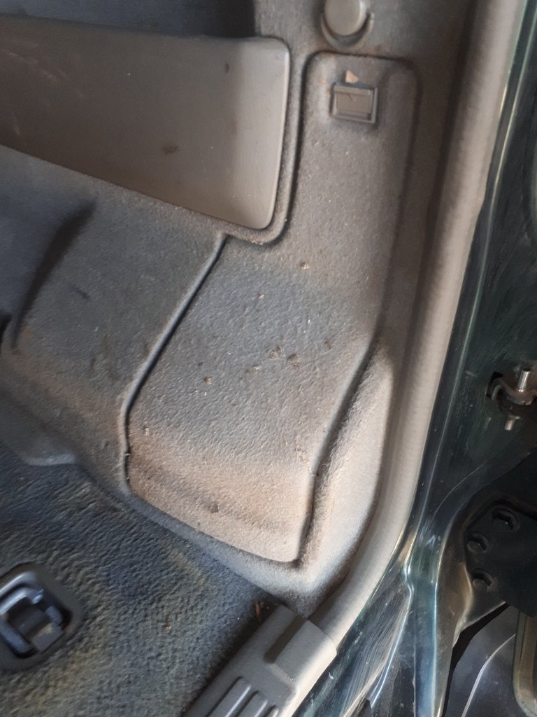 20180728_120930_resized.jpg