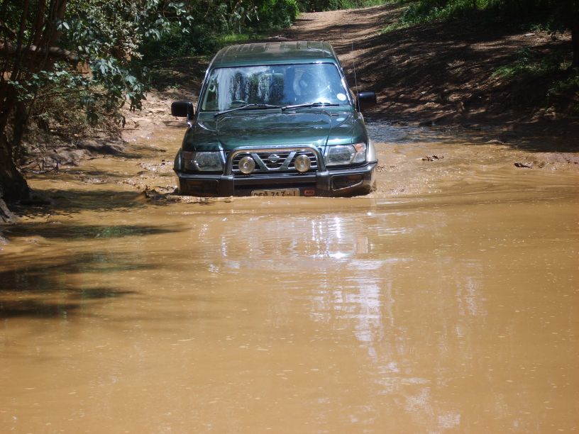 S8001418-p4x4.jpg