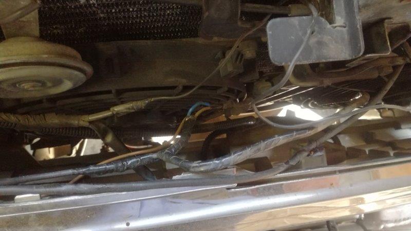 4. behind the grille.jpg
