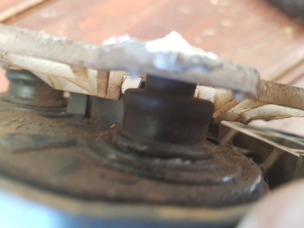 20181007_110822.jpg