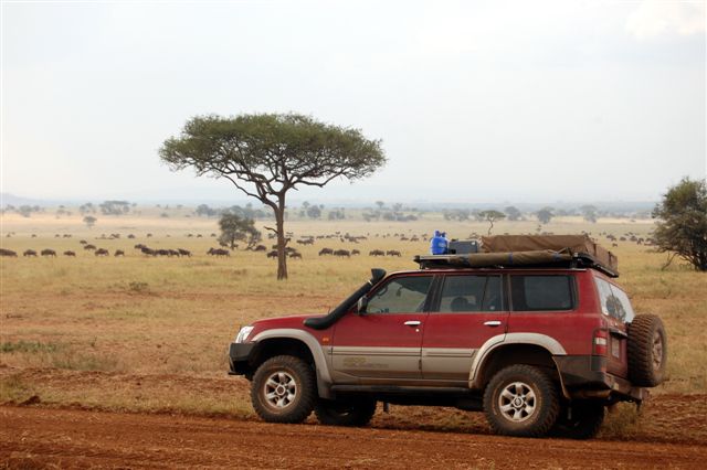 Patrol in Serengeti with Migration in background.JPG