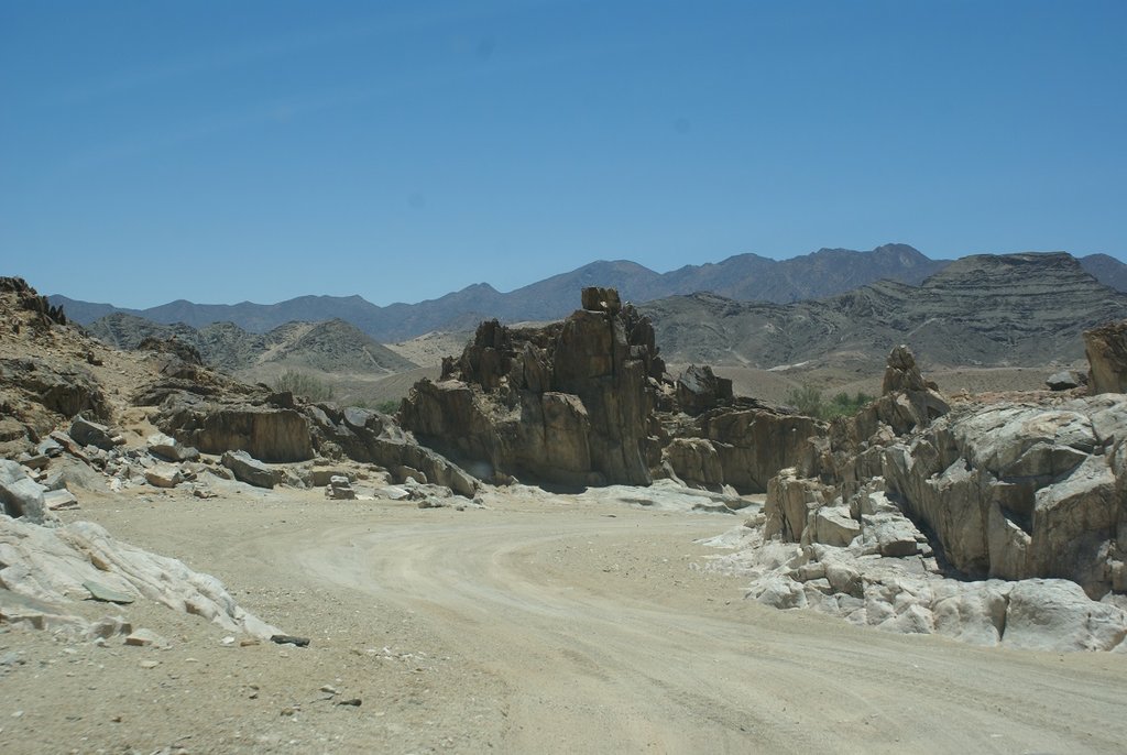 A6.JPG