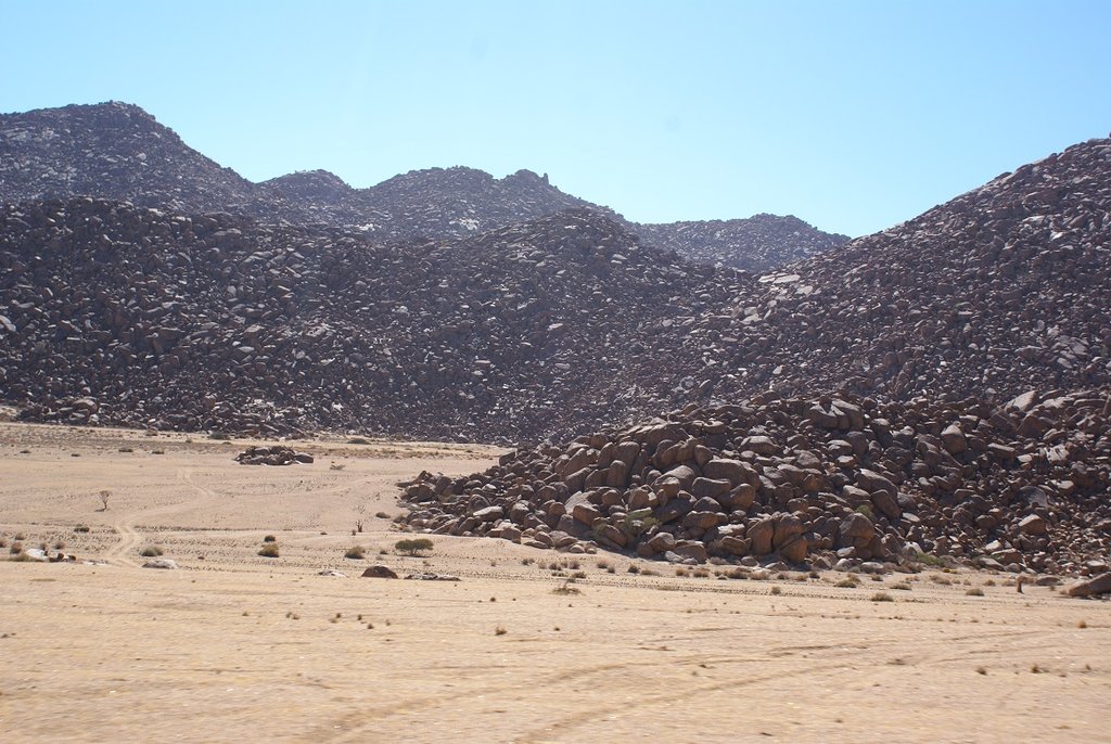 B6.JPG