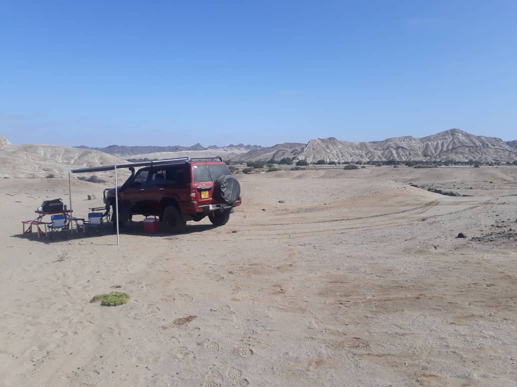 IMG-20190309-WA0001.jpg