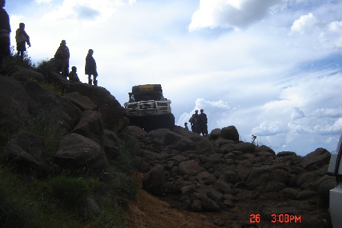 BABOONS1.jpg