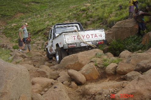 Baboons2.jpg