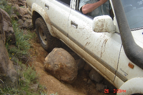 Baboons6.jpg