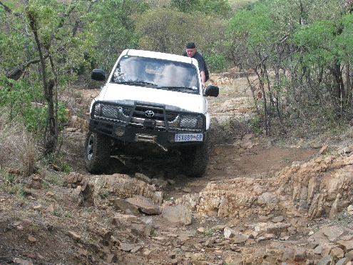 a wildt6.jpg