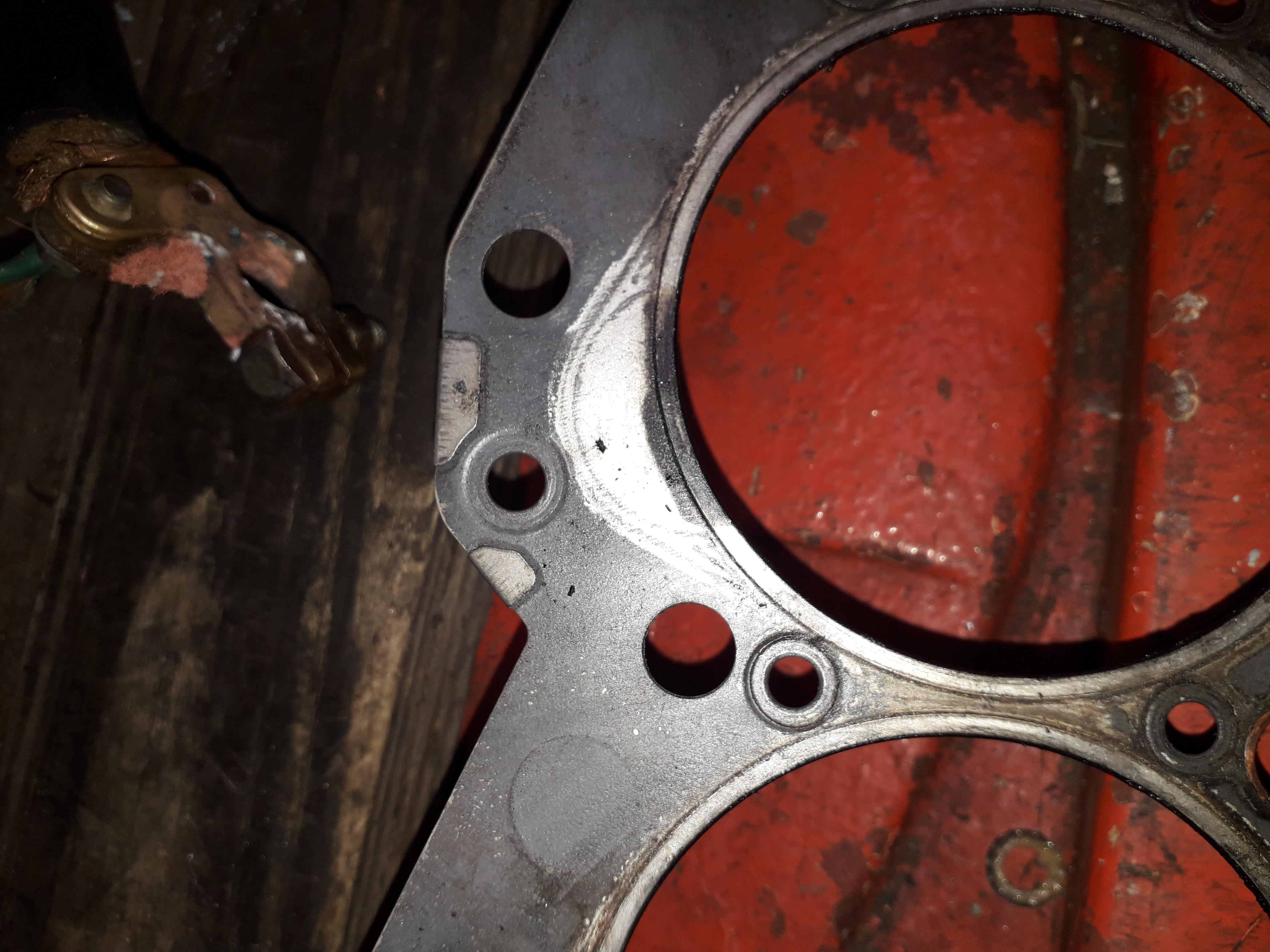 20190625_103609.jpg