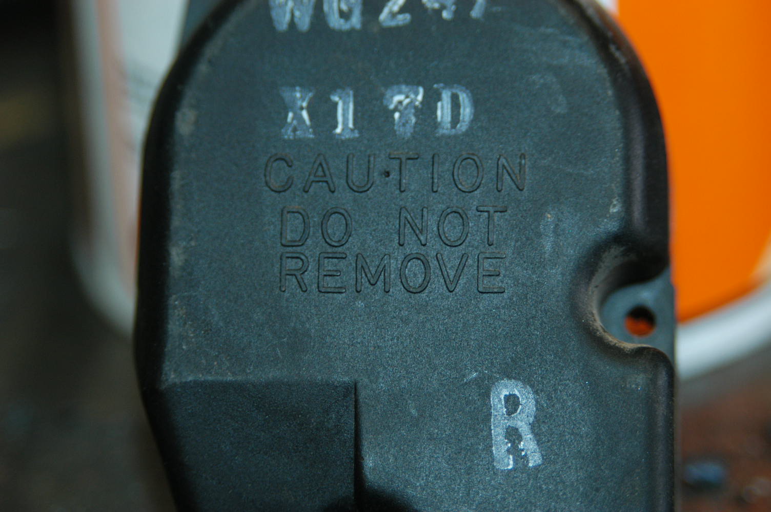 DSC_0002.JPG