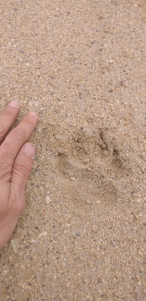 20190727_151506.jpg
