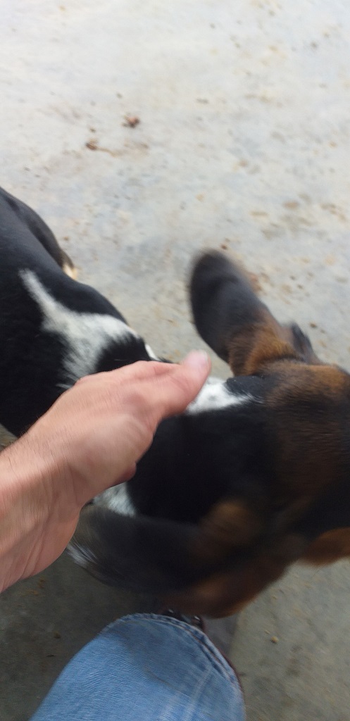 20190728_091917.jpg