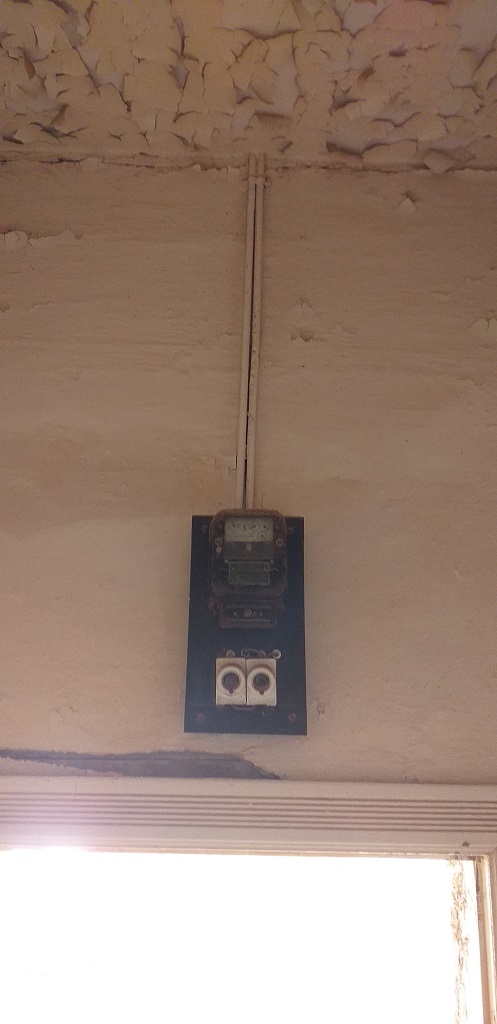 20190805_102306.jpg