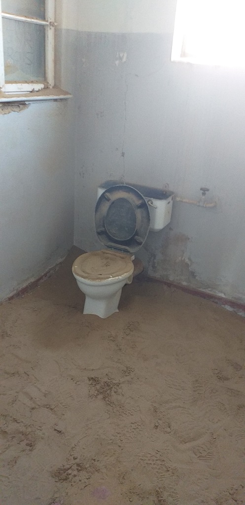 20190805_103146.jpg