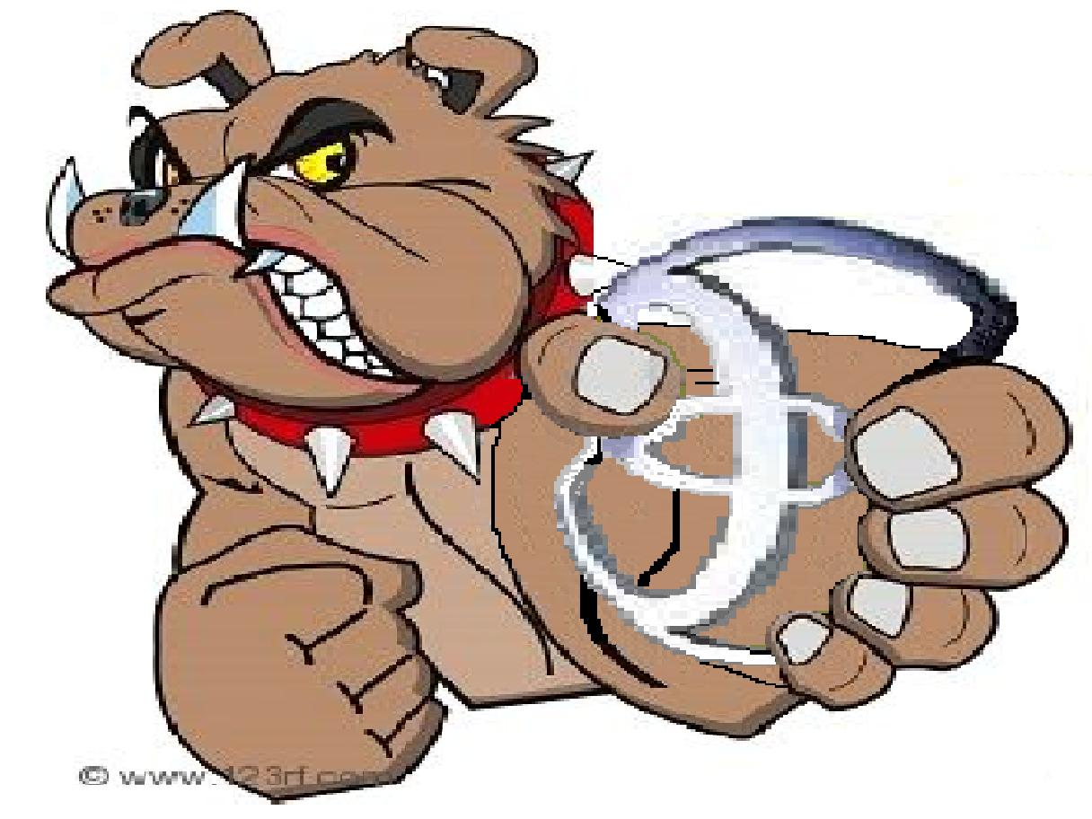 BULLDOG.JPG